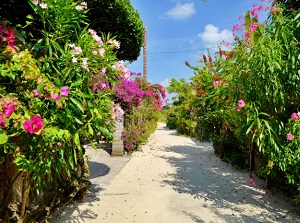 A street in Taketomi Island