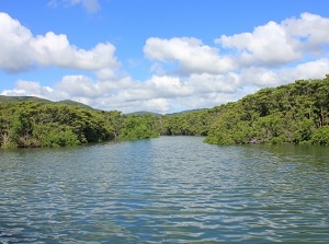 River in Iriomote Island