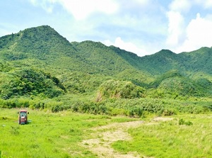 Mountains in Iriomote Island