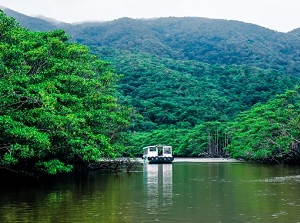 River tour in Nakama River