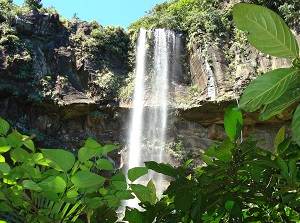 Pinaisara Falls in Iriomote Island