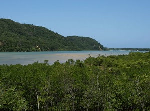 Urauchi River in Iriomote Island