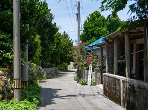 Village in Hateruma Island