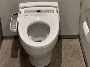 Toilet seat with warm-water cleaning seat