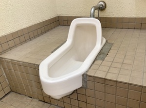 Squat Toilet