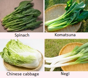 Horenso, Komatsuna, Hakusai, Negi