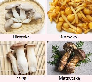 Hiratake, Nameko, Eringi, Matsutake