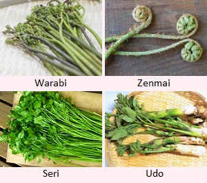 Warabi, Zenmai, Seri, Udo