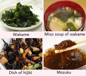 Wakame, Hijiki, Mozuku