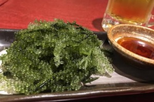 Umi-budo (Sea grapes)