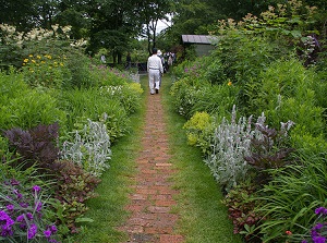 Ueno Farm