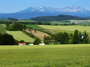 Scenery of Biei