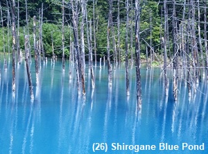 Shirogane Blue Pond