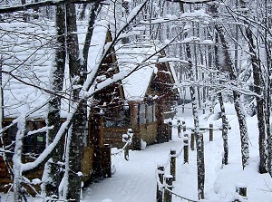 Ningle terrace in winter
