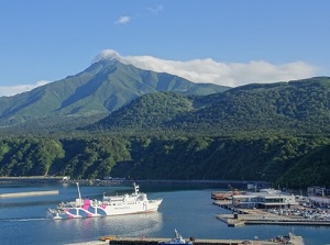 Oshidomari port