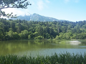 Himenuma