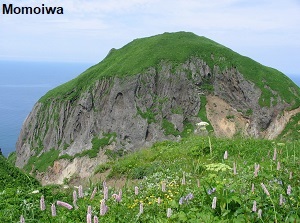 Momoiwa