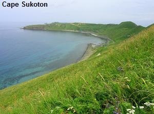 Cape Sukoton