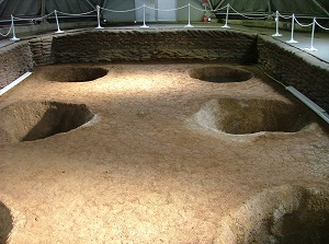 Remains of 6 wooden columns in Sannai-Maruyama site