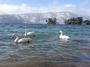 Lake Towada in winter