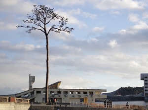 Miracle Lone Pine and destroyed Youth Hostel