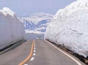 Aspite Line in early spring