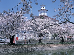 Tsuruoka Park in spring