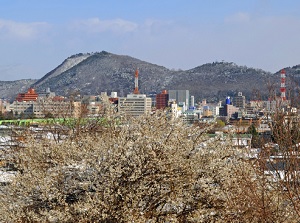 Mount Shinobu