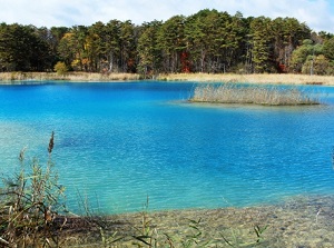 Ruri-numa in Goshikinuma