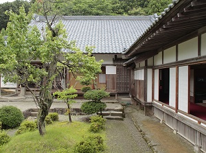 A garden in the residence