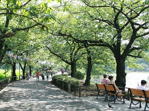 Ueno Park