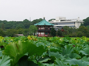 Bentendo from Shinobazu-no-ike