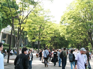 Yoyogi Park