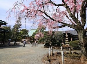 Gotokuji