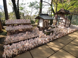 Dedicated Maneki-neko in Gotokuji