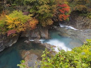 Ouketsu in autumn