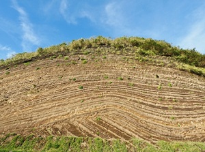 Senba Stratum Section