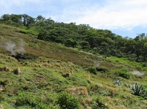 Hingya in Aogashima