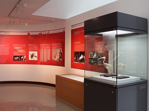 Museum in Toki Forest Park
