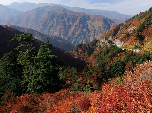 Hakusan Shirakawa-go White Road in autumn