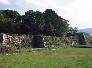 Ruin of Obama castle