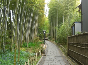 Chikurin-no-Komichi in Shuzenji onsen town