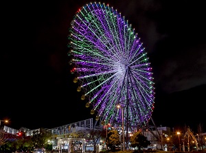 Tempozan Giant Ferris Wheel in the evening