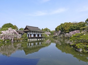 Garden of Heian Shrine in spring