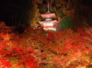 Tahoto pagoda in Eikando