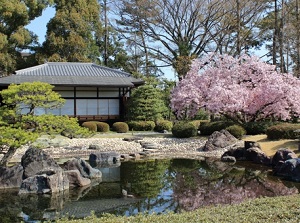 Seiryuen in Nijo Castle