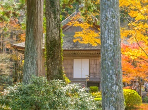 Sanzen-in in Ohara