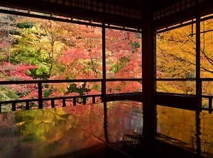 Colored leaves in Ruriko-in
