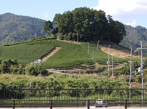 Royal Tomb of Prince Asaka