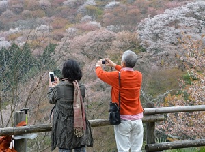 Observatory in Yoshino